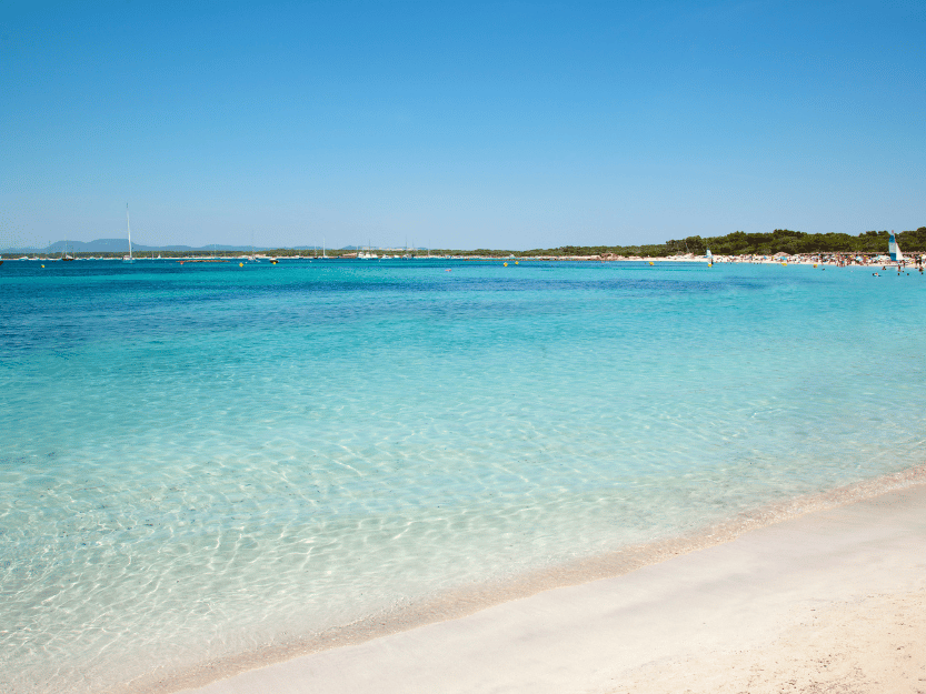 This is one of the most beautiful beaches in Mallorca: Es Trenc beach. - Driveando